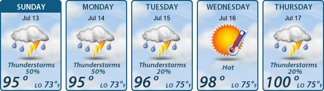 5-Day Forecast
