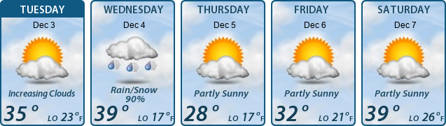 5-Day Forecast