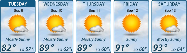 5-Day Forecast