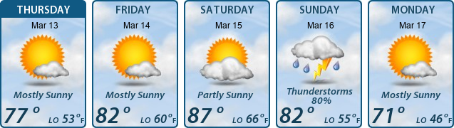 5-Day Forecast